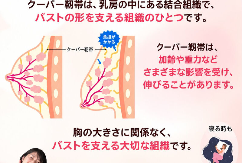 画像3923：【今日9月8日はクーパー靭帯の日】